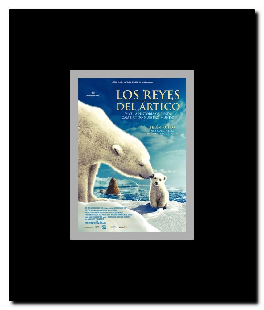 Arctic Tale Framed Movie Poster