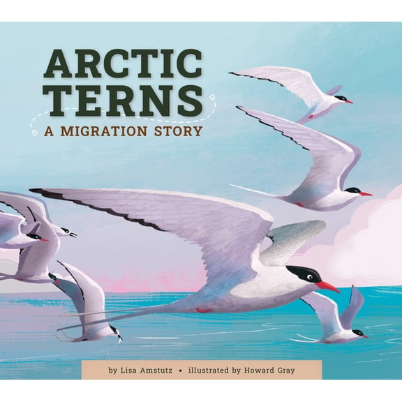 Arctic Terns: A Migration Story, (Paperback)
