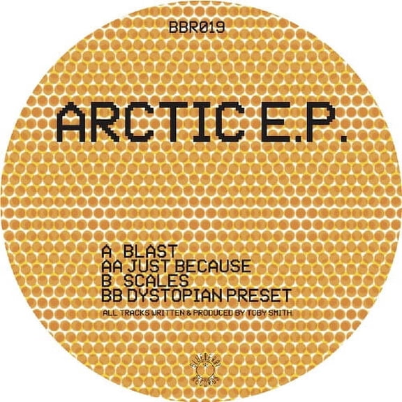Secret Static - Arctic - Music & Performance - Vinyl