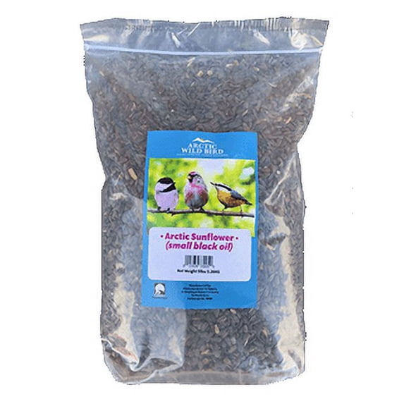 Arctic Wild Bird Small Black Oil Sunflower Seed 10lb Bag