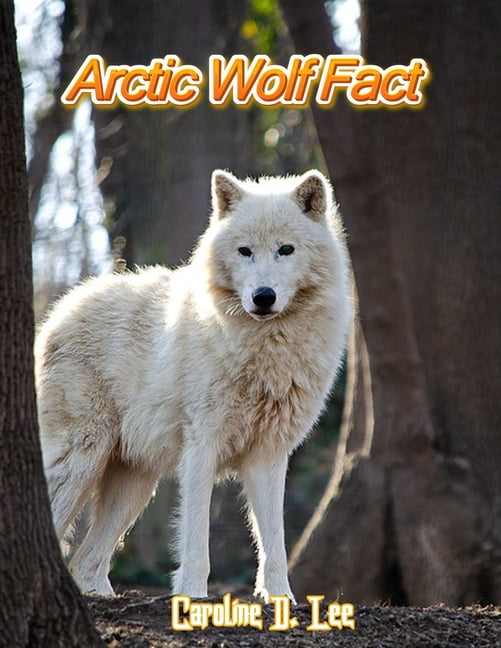 Arctic Wolf Fact: Animal fact for girl age 1-10 Animal fact for boy age 1-10 sea arctic wolf population (Paperback)