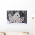 thumbnail image 1 of Arctic Wolf Pack Wall Mural by Wallmonkeys Peel and Stick Graphic (18 in W x 12 in H) WM321518, 1 of 4