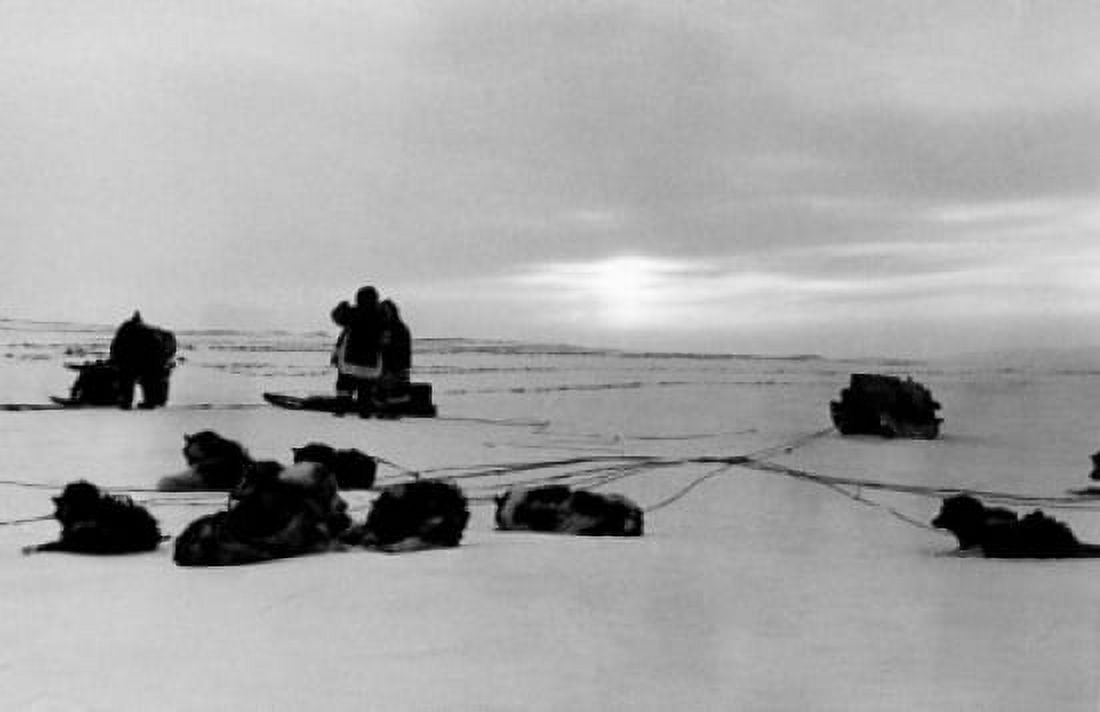 Arctic people standing near sledge dogs on leashes lying down Canvas Art - (18 x 24)
