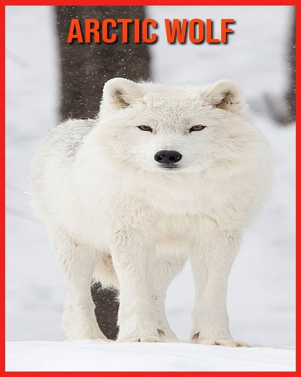 Arctic Wolf Children Book Of Fun