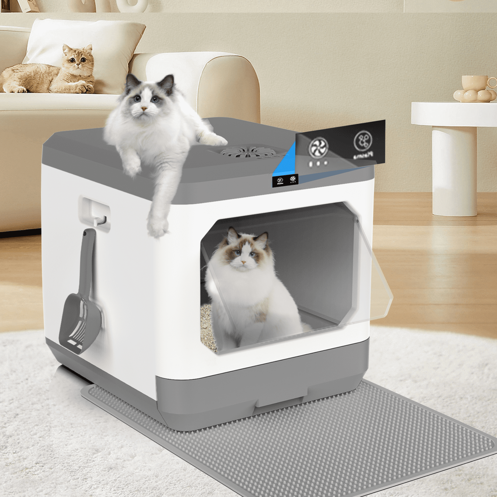 Cat genie walmart top