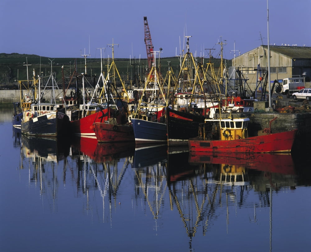 Ardglass Co Down Ireland Fishing Harbour Canvas Art - The Irish Image Collection Design Pics (17 x 14)