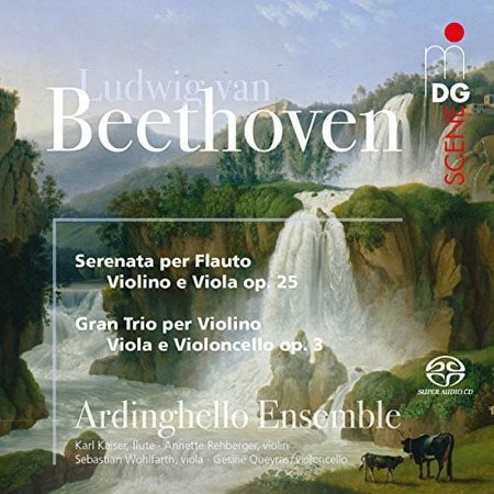 Ardinghello Ensemble - Beethoven: Serenade And String Trio - Music & Performance - CD