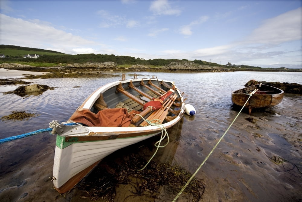 Ardminish Isle Of Gigha Scotland Rowboats Tied To Shore Canvas Art - John Short Design Pics (17 x 11)