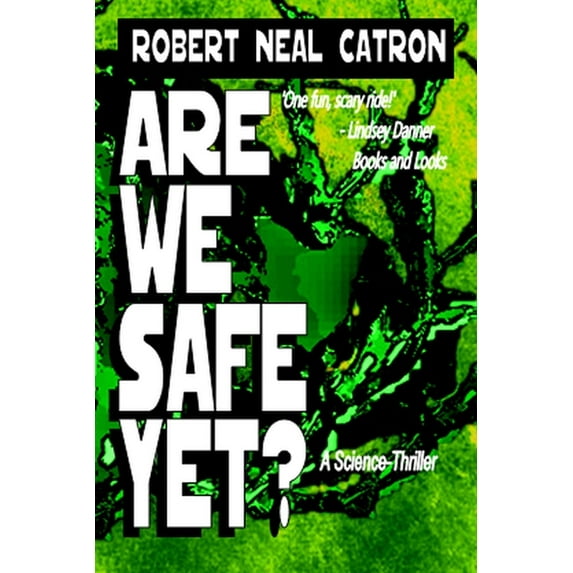 Are We Safe? (Paperback)