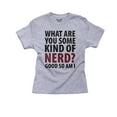 thumbnail image 1 of Are You A Nerd? Good So Am I - Nerd Power Boy's Cotton Youth Grey T-Shirt, 1 of 2