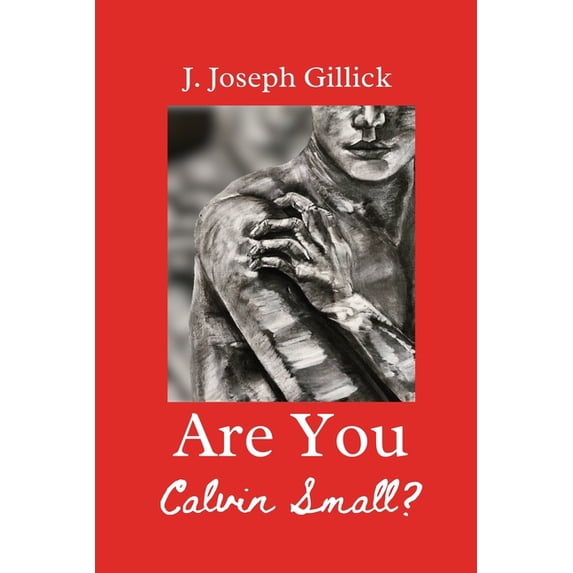 Are You Calvin Small?: A YA LGBT Romance, (Paperback)