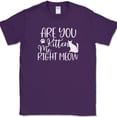 thumbnail image 1 of Are You Kitten Me Right Meow T-Shirt Funny Cats Animals Gift Text Tee - Purple, 2XL, 1 of 1