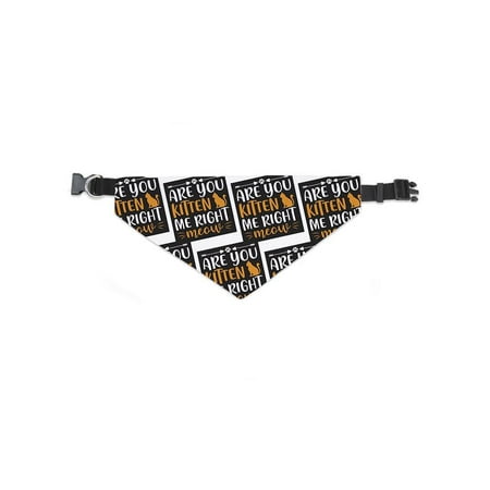 Are You Kitten Me Typography Bandana -Image by Shutterstock, Large