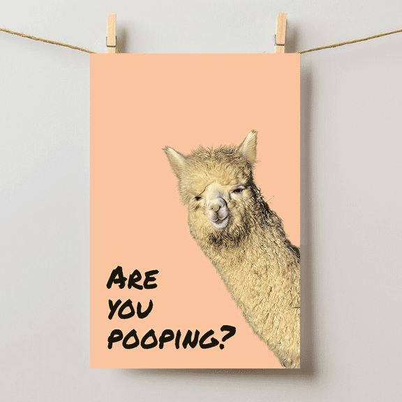 Are You Pooping Funny Alpaca Llama Bathroom Wall Art, Unframed Paper Poster 24x36in