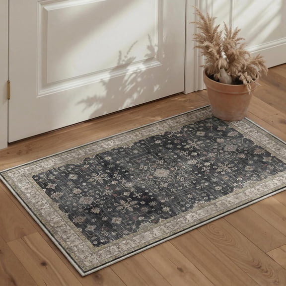 Area Rug 2x3 Doormat, Machine Washable Low Pile Rugs, Small Retro Chenille Entryway Mat for Entrance, Hallway, Kitchen and Corridor, Sandy Charcoal
