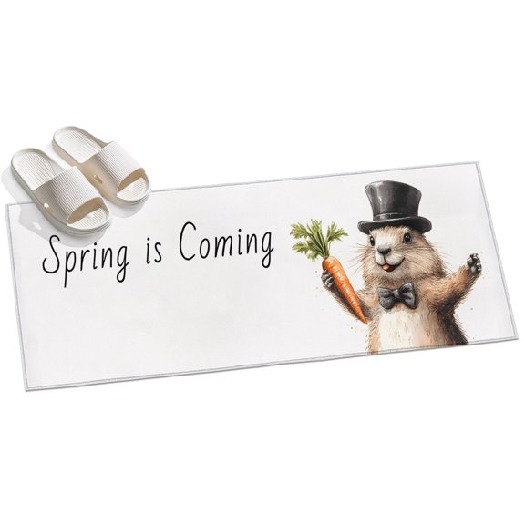 Area Rug 2x6ft Spring Is Coming Area Rugs for Kitchen Runner Rug Groundhog Carrot Non Slip Floor Carpet Mat for Kitchen Entryway Bathroom Office Home Decor