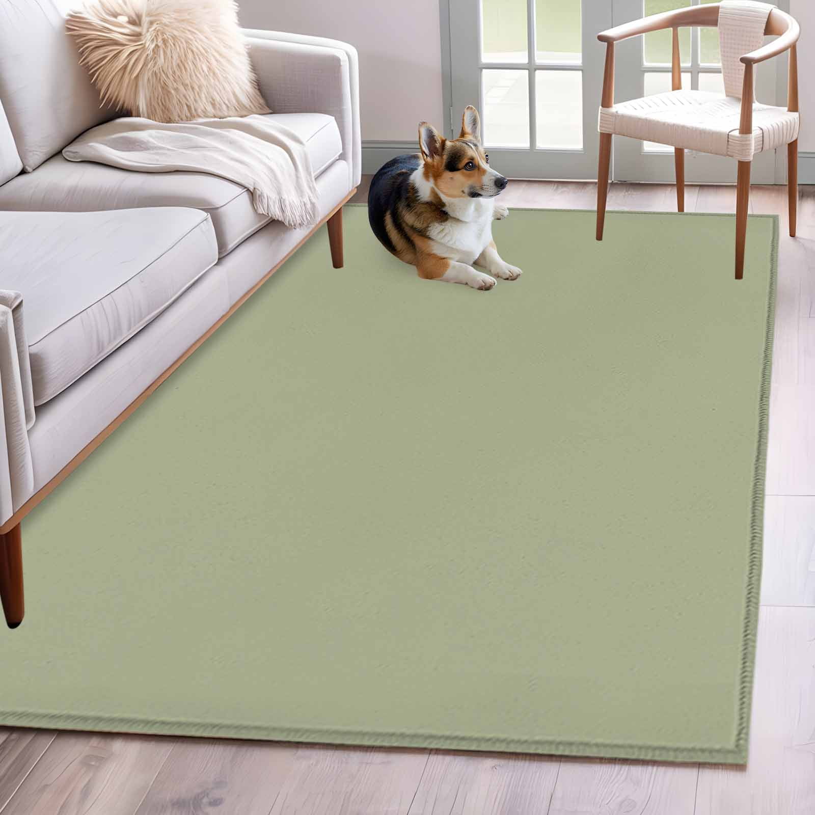 Area Rug 3'x5', Sage Green Non-slip Runner Rug Carpet for Bedside, Farmhouse Sage Green Decor Washable Outdoor Indoor Area Rugs Mat for Entryway/Living Room/Bedroom/Kitchen/Office