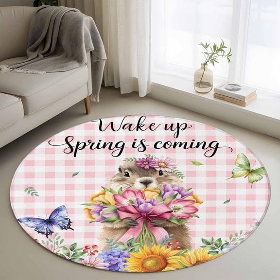 Area Rug 36in, Spring Groundhog Butterfly Floor Carpet Living Room Rug, Pastoral Flower Pink Buffalo Plaid Non-Slip Welcome Mat Indoor Rugs for Bedroom Dining Room