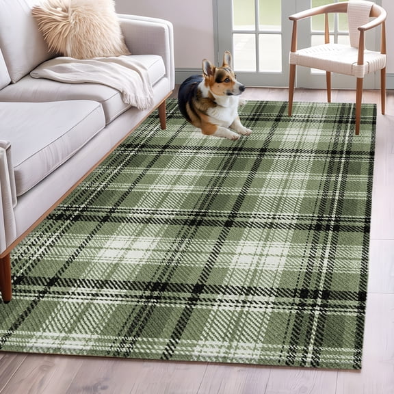 Area Rug 3x5ft Farmhouse Sage Green Checkered Area Rugs Washable Low Pile Floor Carpet for Bedroom, Country Buffalo Plaid Stripe Non Slip Soft Rugs for Living Room Entryway Dining Room