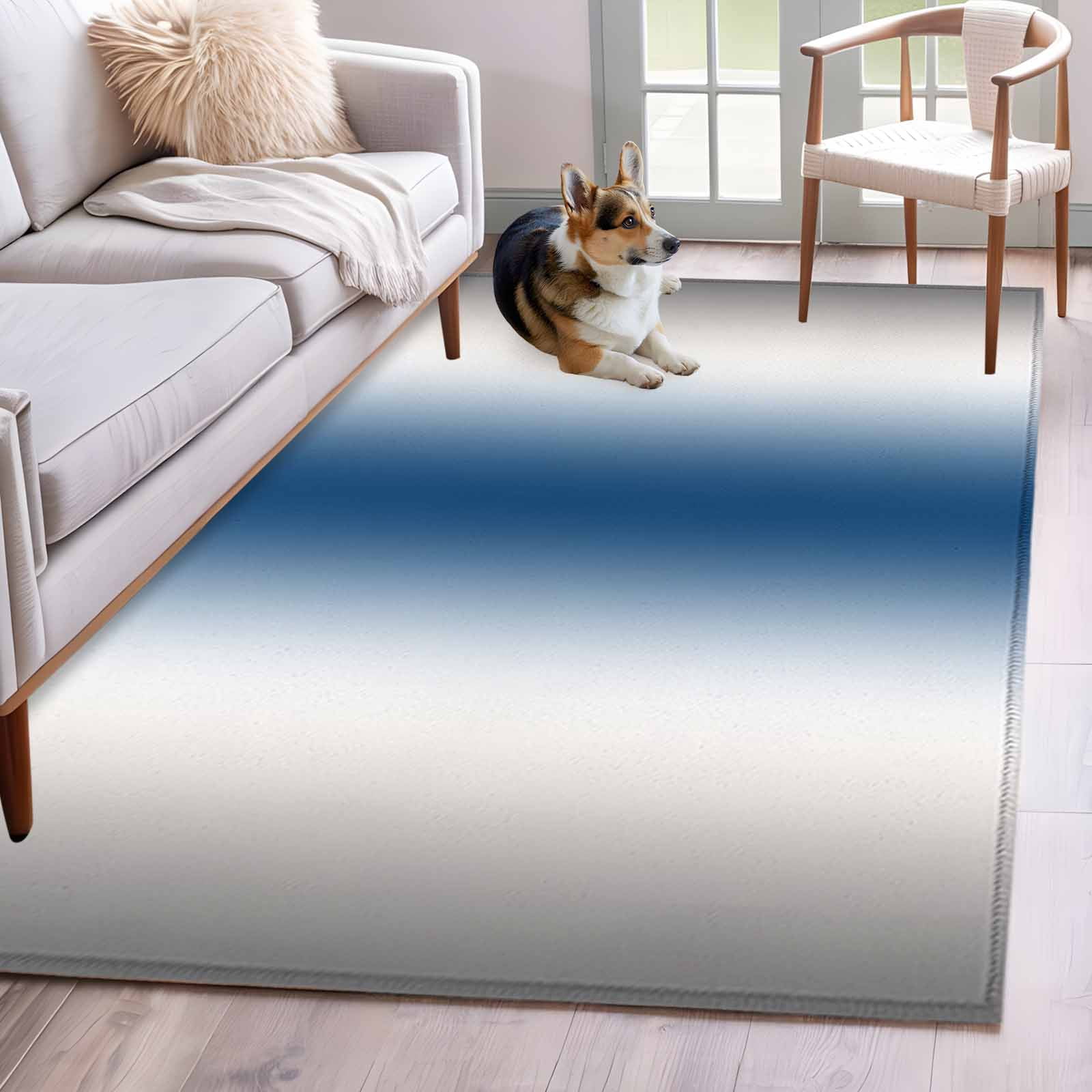 Area Rug 4'x6', Lake Blue Grey White Non-slip Runner Rug Carpet for Bedside, Farmhouse Ombre Color Modern Washable Outdoor Indoor Area Rugs Mat for Entryway/Living Room/Bedroom/Kitchen/Office