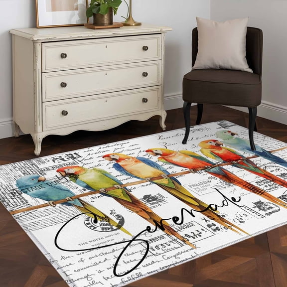 Area Rug 48×72in, Watercolor Parrot on Vintage Postcard Floor Carpet Living Room Rug, Colorful Bird Letter Texture Non-Slip Welcome Mat Indoor Rugs for Bedroom Dining Room