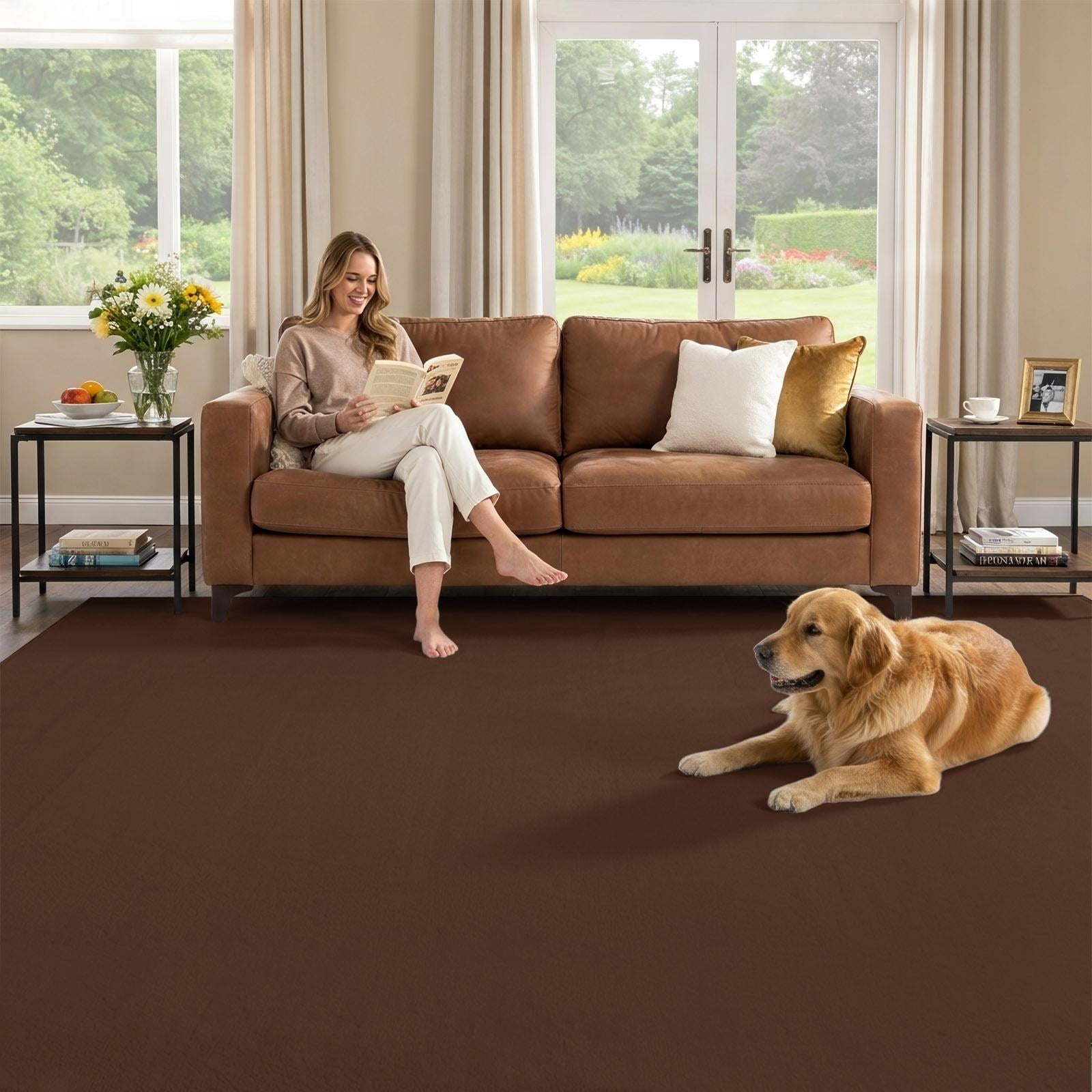 Area Rug 5x8 Living Room Rug, Dark Brown Washable Non-Slip Low Pile ...