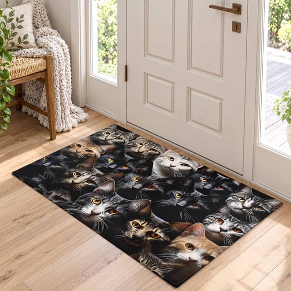 Area Rug for Living Room Black White Pet Cat Washable Rug 2x3ft, Soft Non-Slip Cushion Rugs Chenille Sponge, Cat's Eyes Floor Carpet for Bedroom Dining Room Office Nursery Home Dorm
