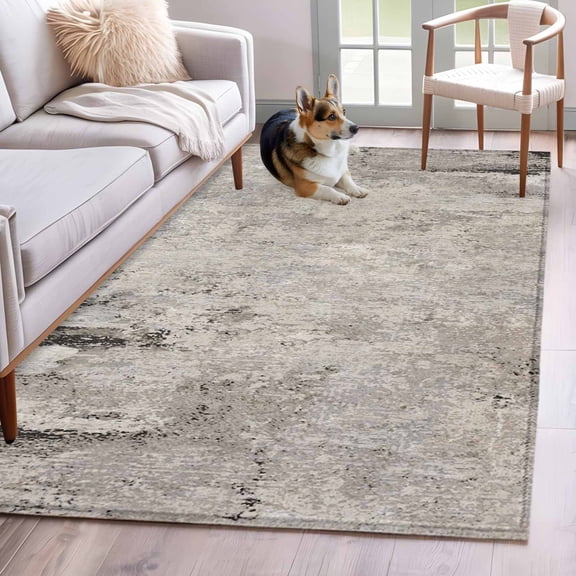 Area Rug for Living Room, Gray Brown Non-Slip Indoor Large Carpet for Bedroom/Dining Room, Vintage Shabby Texture Making Old Washable Low-Profile Rectangle Floor Runner Rugs - 4 x 6 Ft