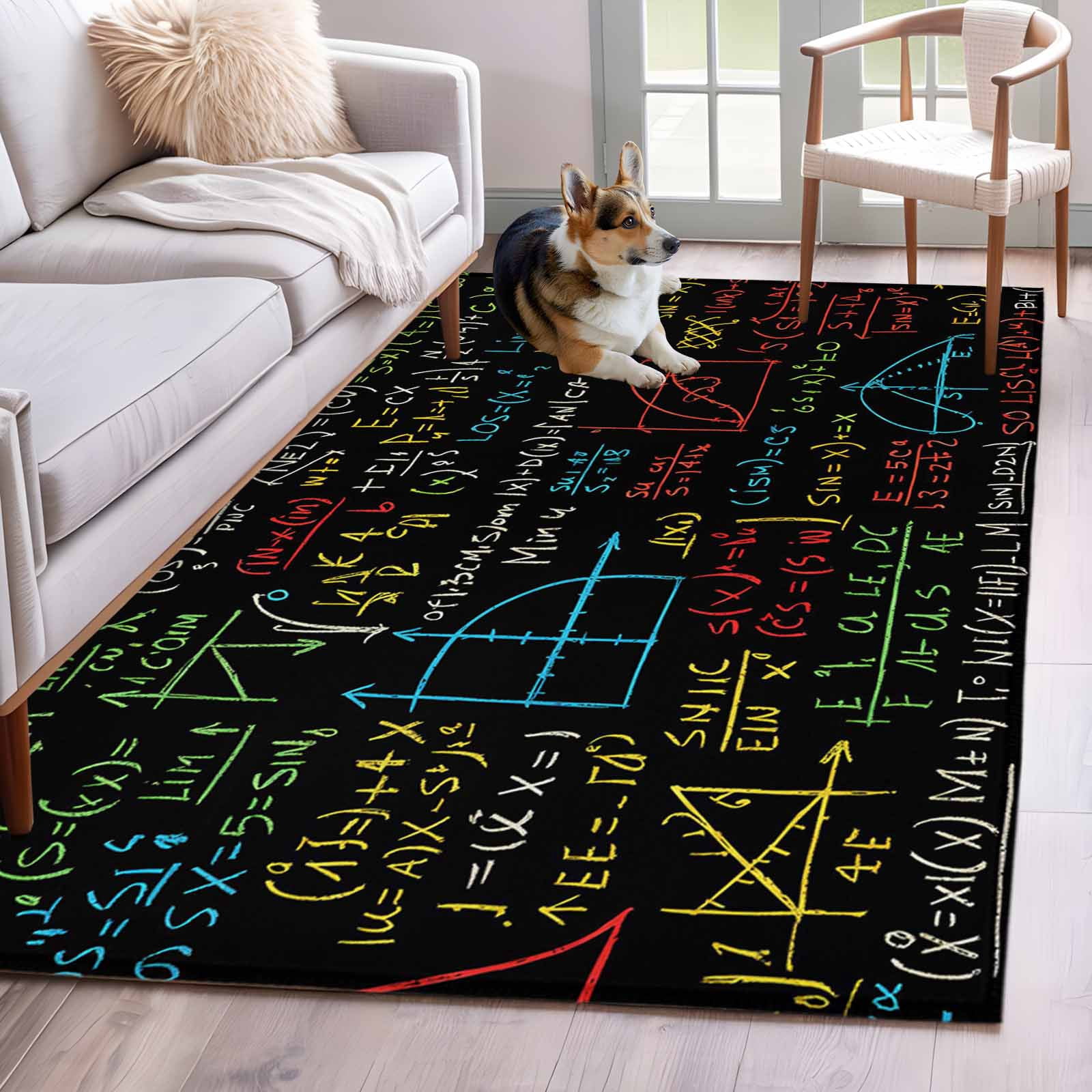 Area Rug for Living Room, Math Formula Geometric Non-Slip Indoor Large ...