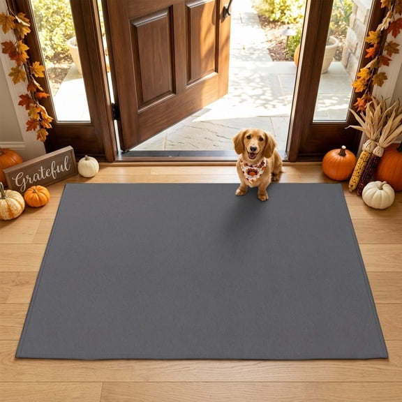 Area Rug Minimalist Dark Gray Rectangle Area Rugs Washable Rug for Living Room Bedroom Dining Room, Modern Art Soft Non-slip Floor Carpet 2x3ft