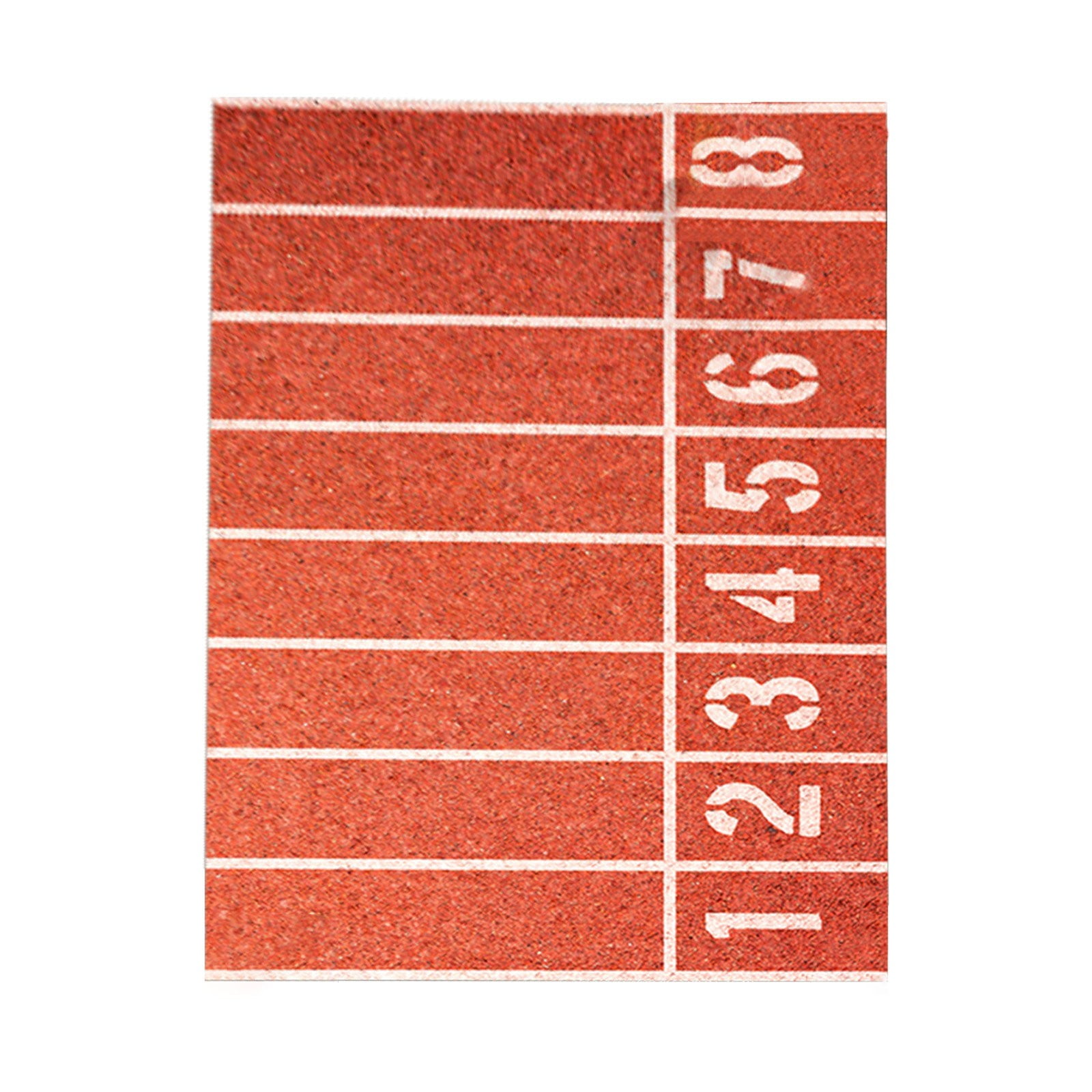 Area Rug Soccer Field Football Stadium Green Grass Painted line Sport ...