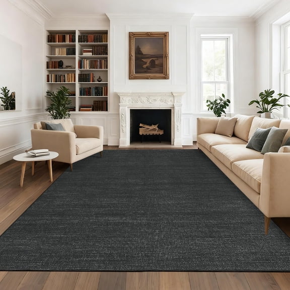 Area Rug Washable Modern Minimalist Non-Slip Carpet