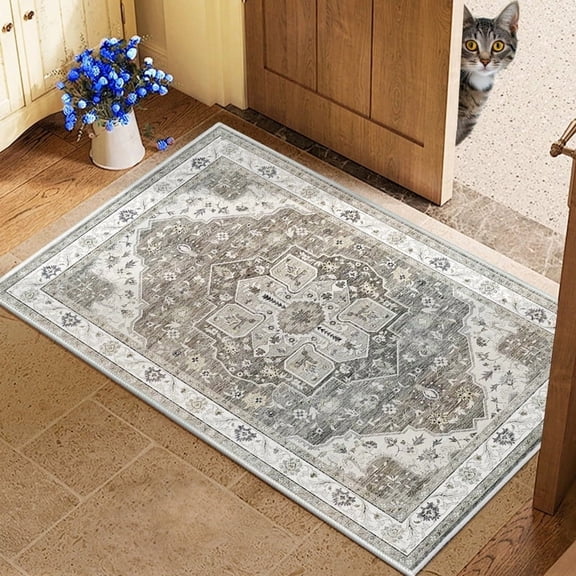 Area Rug for living room, Washable Rug Indoor Outdoor Non-Slip Vintage Carpet,2x3 SandyGray