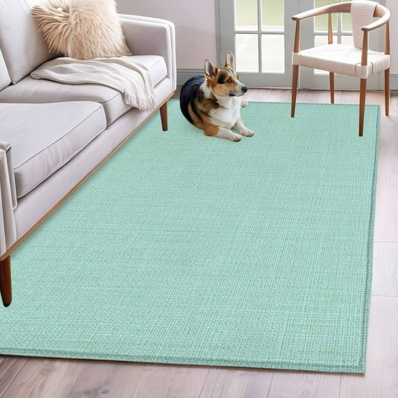 Area Rugs 2.7'x5', Linen Mint Green Carpet for Living Room Bedroom Dining Room, Modern Minimalist Pure Solid Color Throw Kitchen Rugs Non Slip Washable Rectangle Indoor Outdoor Rugs