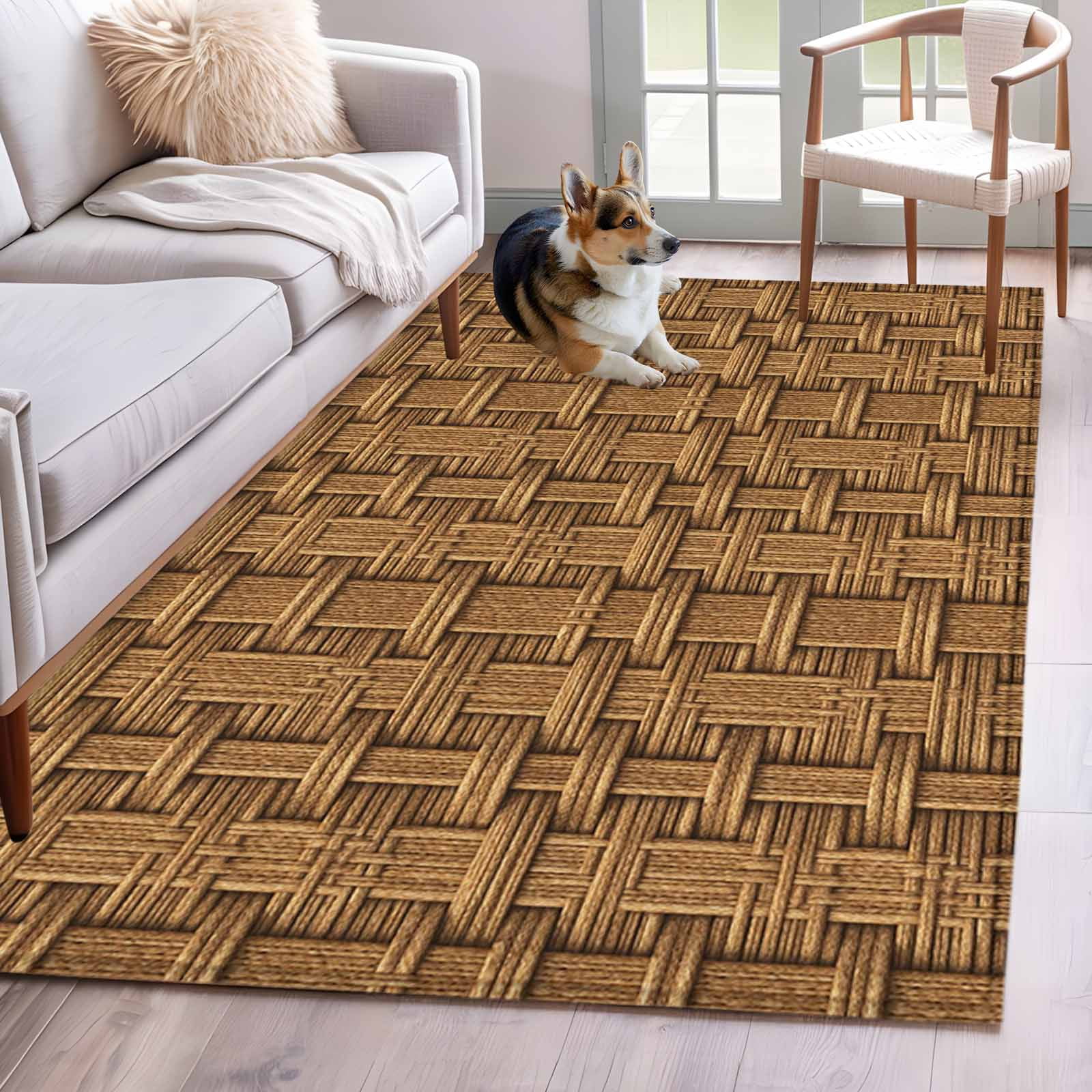 Area Rugs 2.7'x5', Vintage Rattan Carpet for Living Room Bedroom Dining Room, Minimalist Abstract Wicker Texture Brown Throw Kitchen Rugs Non Slip Washable Rectangle Indoor Outdoor Rugs