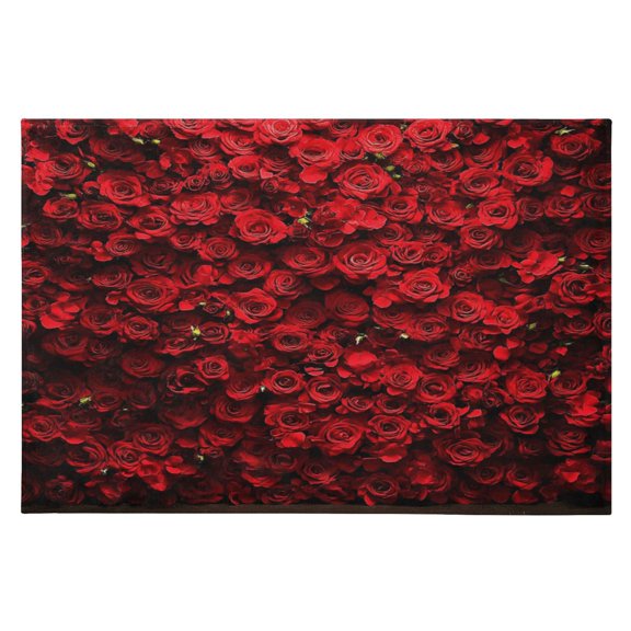 Area Rugs 23.62"x35.43" Soft Non-Slip Door Mat Machine Washable Entryway Rug for Bedroom Kitchen Wall Of Red Roses