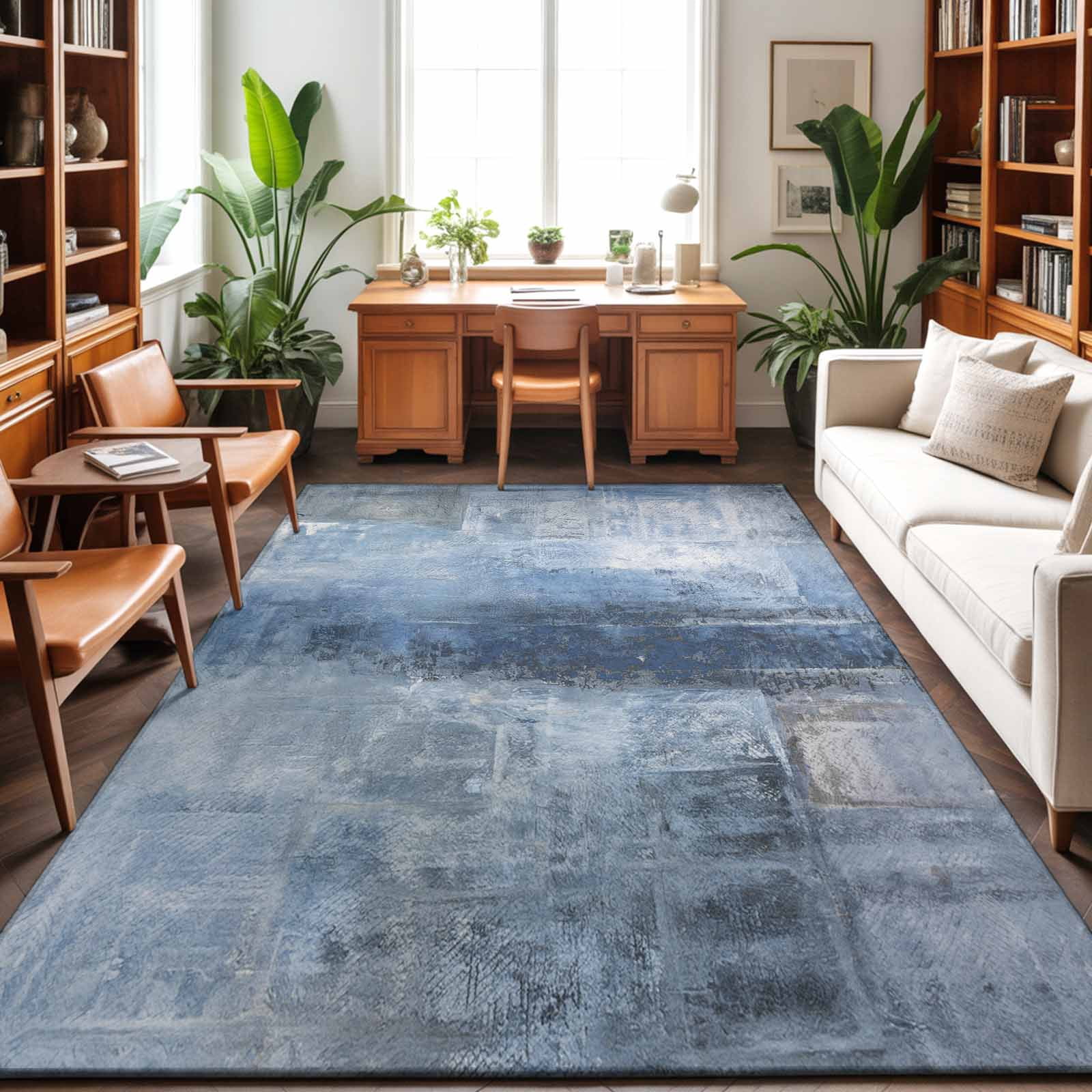 Aethics Rugs Area Rugs 3'x5', Blue Carpet Runner Indoor Outdoor Rugs Home Decor ...
