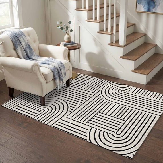 Area Rugs 4'x6'. Black Boho Carpet Runner Indoor Outdoor Rugs Home Decor Aesthetic, Abstract Geometric Curves Lines Modern Non Slip Mats Washable Accent Rug for Living Room Bedroom
