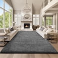 thumbnail image 1 of Shag Area Rugs for Living Room 9'X12', Soft and Fluffy Shaggy Carpet for Pets, Machine Washable Floor Rugs for Living room, 1 of 7