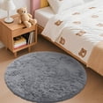 thumbnail image 1 of Shag Area Rugs for Living Room 9'(Round), Soft and Fluffy Shaggy Carpet for Pets, Machine Washable Floor Rugs for Living room, 1 of 6