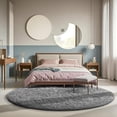 thumbnail image 1 of Shag Area Rugs for Living Room 8'(Round), Soft and Fluffy Shaggy Carpet for Pets, Machine Washable Floor Rugs for Living room, 1 of 7