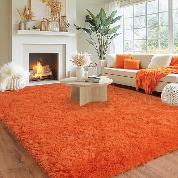 Area Rugs for Bedroom, Fluffy Rugs for Living Room, Large Area Rug Shag Shaggy Carpet Soft Plush Furry Bedside Rug, Machine Washable Area Rugs for Kids Girls Boys Home Decor Anti Slip