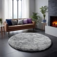 thumbnail image 1 of Shag Area Rugs for Living Room 7'(Round), Soft and Fluffy Shaggy Carpet for Pets, Machine Washable Floor Rugs for Living room, 1 of 9
