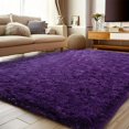 thumbnail image 1 of Fluffy Area Rugs for Living Room, Soft Shag Rug for Bedroom, Non-Slip Fuzzy Carpet, Machine Washable Plush Indoor Rug for Kids Room Nursery Home Decor, 1 of 9