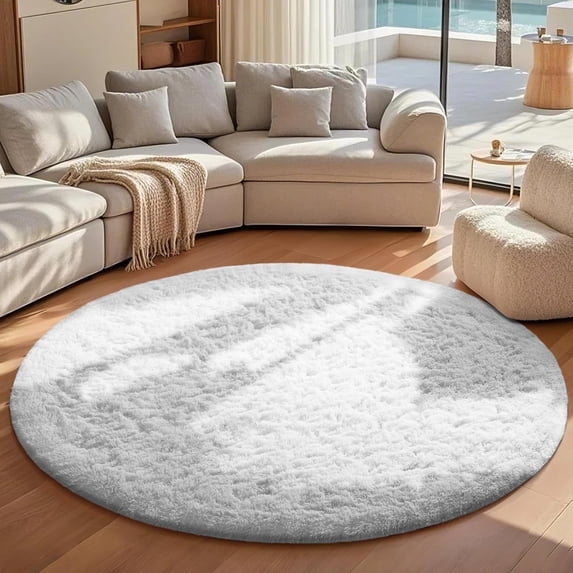 Area Rugs for Bedroom, Fluffy Rugs for Living Room, Large Area Rug Shag Shaggy Carpet Soft Plush Furry Bedside Rug, Machine Washable Area Rugs for Kids Girls Boys Home Decor Anti Slip
