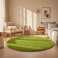 thumbnail image 1 of Shag Area Rugs for Living Room 6'(Round), Soft and Fluffy Shaggy Carpet for Pets, Machine Washable Floor Rugs for Living room, 1 of 10