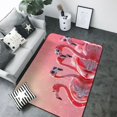 Area Rugs For Living Room Decor Cool Flamingos Sunglasses Scene Soft