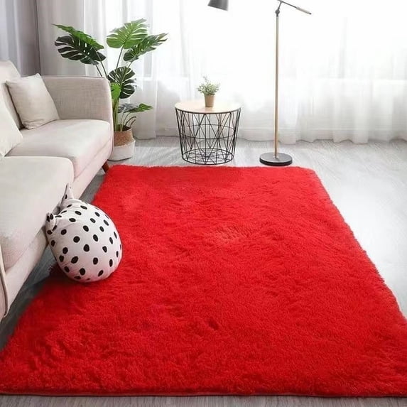 Area Rugs for Living Room Bedroom, Microfiber Soft Plush Carpet,Floor Mat,Shaggy Cozy Dorm Plush Home Rug,Red 2,D