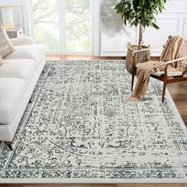 Area Rugs for Living Room, Washable Rug with Non-Slip Backing, Modern Abstract Area Rug, Stain Resistant Rugs for Bedroom