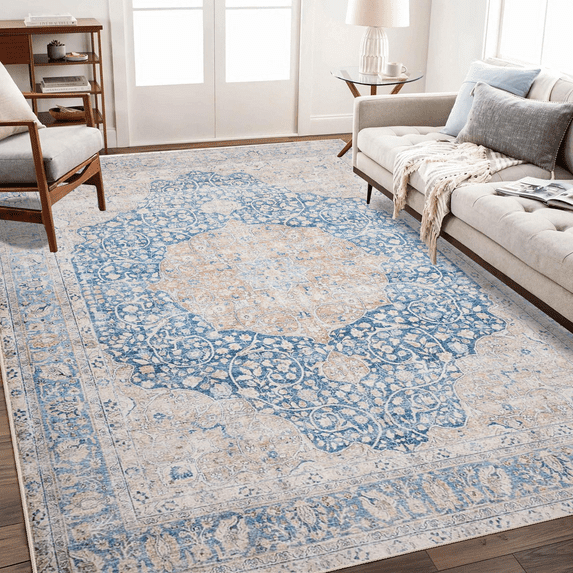 Area Soft Rugs 5X7 Washable Non Slip Boho Small Floor Entryway Rugs for Living Room Bedroom, Vintage Style Farmhouse Mat for Kitchen Blue & Gray